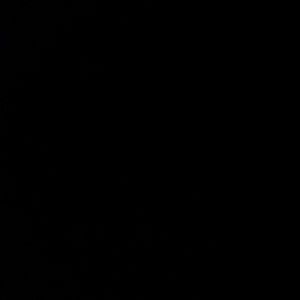 Meet your Posher, Selina